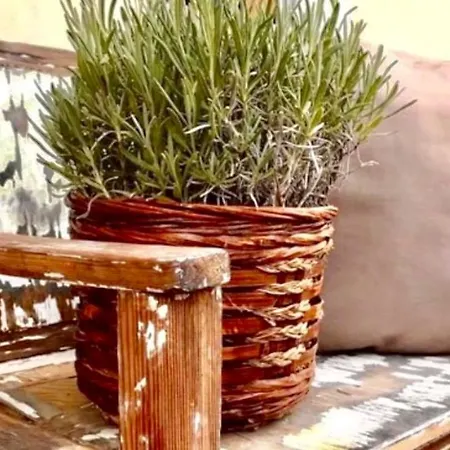 Pensionat Hencz Vendeghaz