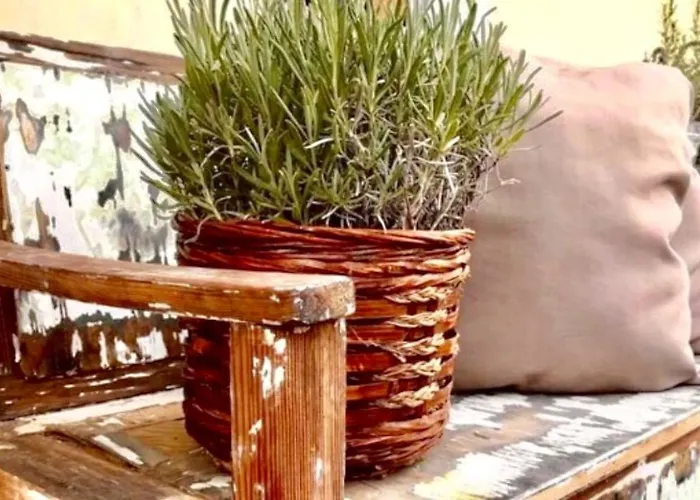 ゲストハウス Hencz Vendeghaz